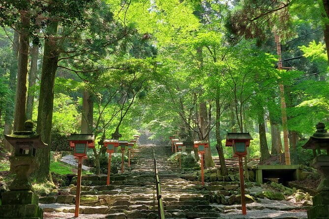 YokaBus Fukuoka to Kyushu Museum Bus Tour Experience - Meeting and End Point