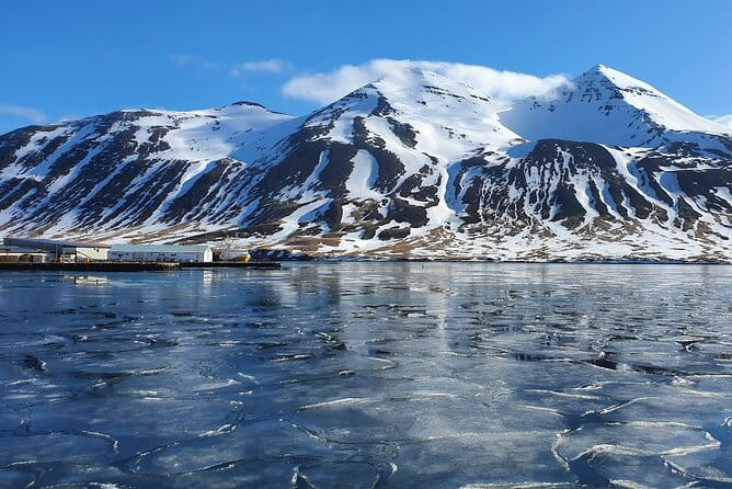 1-Hour Siglufjörður Stroll - Price and Value Breakdown