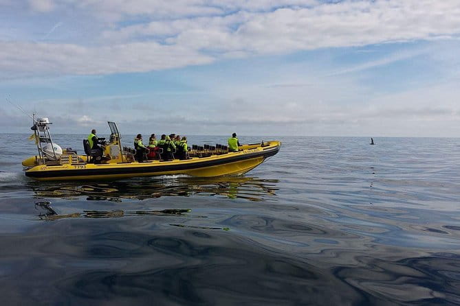 1-Hour Small Group Sightseeing Boat Tour in Vestmannaeyjar - Who Should Consider This Tour
