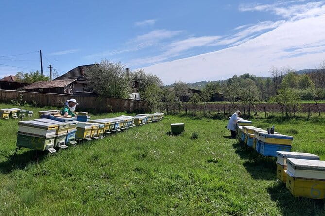 10 hours Private Apiary Tour in Romania - From Bucharest - FAQ