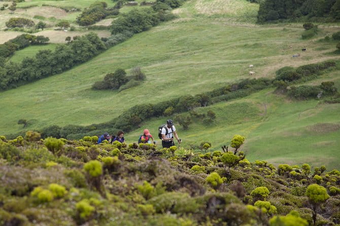 10 Volcanos hiking private tour in Faial - Educational Insights and Local Knowledge