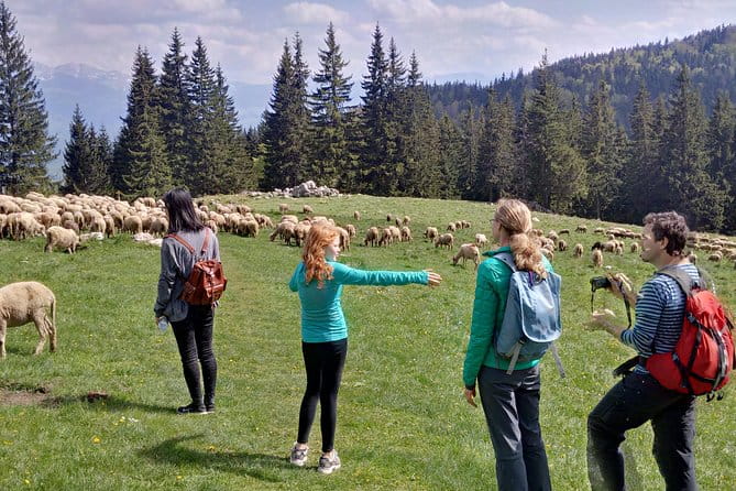 2-Day Transylvania Culture Trek from Brasov - Small Group Tour - Cultural and Scenic Highlights in Detail