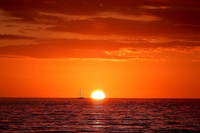 2-Hour Dolphin Guided Safari NP Brijuni from Fazana - The Group and Experience Environment