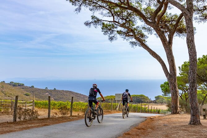 2-Hour e-bike Tour with Wine Tasting in Tenuta delle Ripalte - The Value of a Short, Well-Organized Adventure