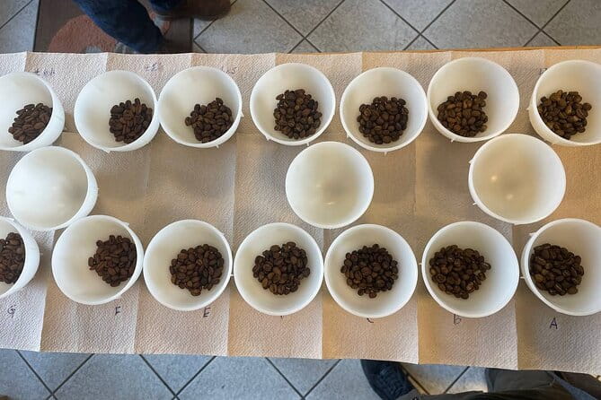 2-Hour Specialty Coffee tasting in Ljubljana - Price and Value: Is It Worth It?