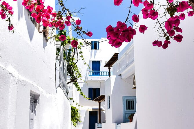2 Hours Feel Like A Local Walking Tour in Mykonos Town - What Makes This Tour Stand Out?