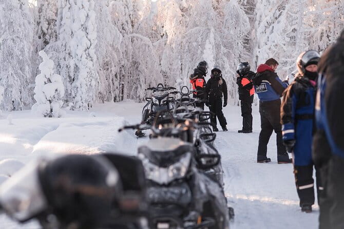 2 Hours Snowmobile Safari to the Levi Nature - A Deep Dive into the Snowmobile Safari Experience