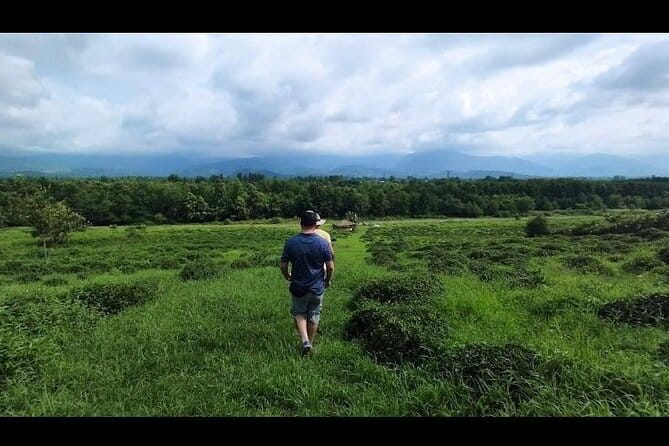 2 Hours Tea House and Tea Garden Trip in Ozurgeti Georgia - Visiting the Historic Guri Oda Tea House