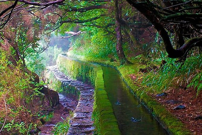 "25 Fountains" Walk / Lost In The Beautiful Forest - Practical Considerations