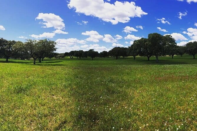 2hr Cork Tour in a Jeep - Exploring the Itinerary in Detail