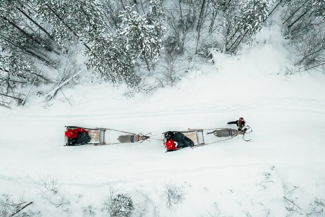2km Sleigh Ride & Feeding Experience at Traditional Reindeer Farm - A Closer Look at the Reindeer and the Culture