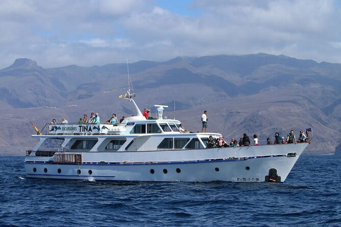 3 hrs Boat Excursion for whale watching from Valle GR (La Gomera) - Price and Logistics: Is It Good Value?