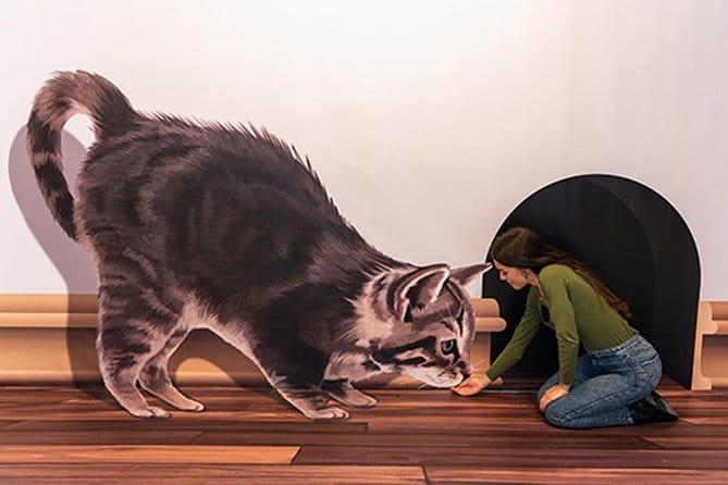 3D Fun Art Museum Funchal - Final Thoughts: Is It Worth It?