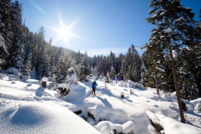 4 hours skitour trip in Tatra Mountains for beginners with renting equipment - The Scenery and Technical Aspects
