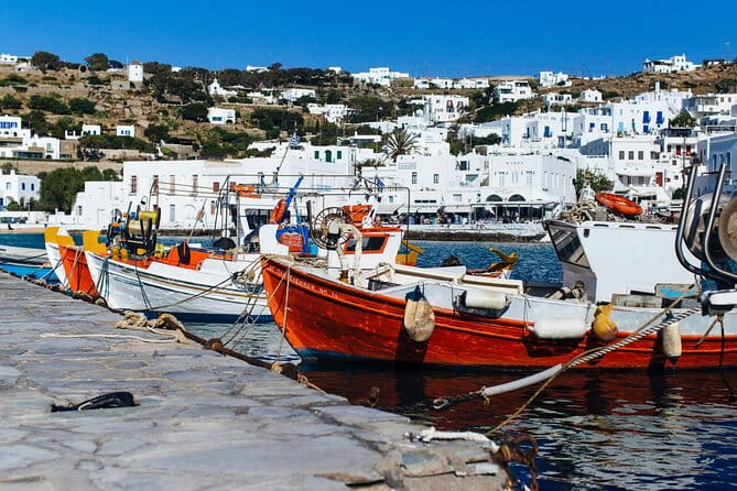 4Hours Mykonos Adventure Walk in Town & Minivan Countryside Tour - Who Is This Tour Best For?