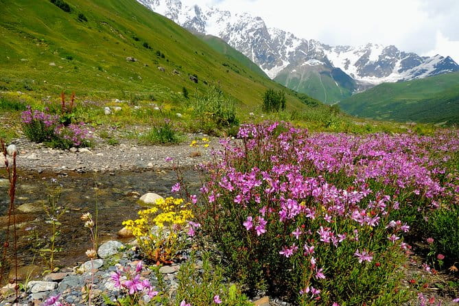 6-Day Tour to Georgia from Tbilisi. Cultural Heritage - Price and Value