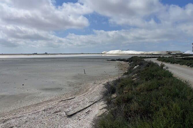 8 Hours Visit to the Camargue and the Salins dAigues-Mortes - Discovering the Camargue: Natural Wonders and Historic Villages