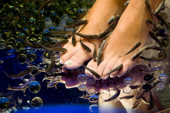 90-Minute Aroma Oil Massage plus 20' min Free Fish Pedi - The Fish Pedicure: A Fun & Unique Feet-Reviving Experience