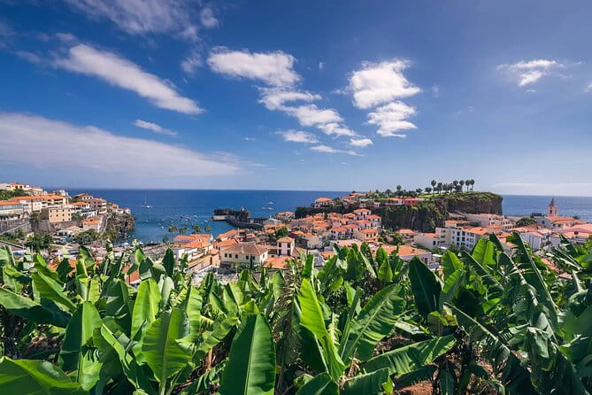 A great tuk-tuk adventure Tour at Cabo Girão - Skywalk - The Experience of the Guides and the Views