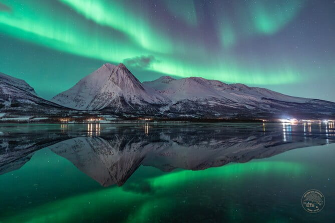 "a journey in search of the Northern Lights" | Private - Who Should Consider This Tour?