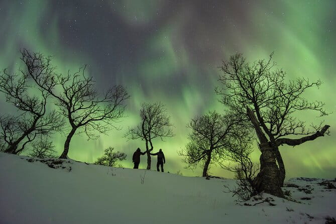 A Quest to find the Northern Lights, Tromsø (small group size) - Who Is This Tour Best For?