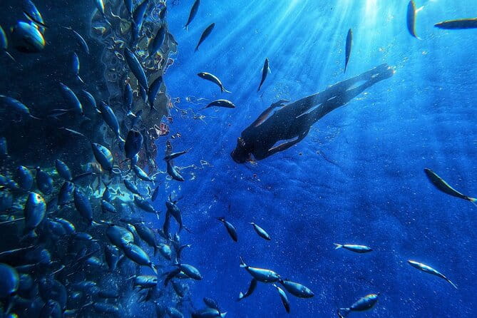 Afrikat Morning Cruise - FAQ