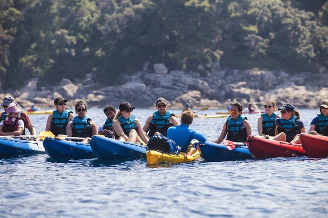 Afternoon Kayaking in Dubrovnik - The Sum Up: Who Should Consider This Experience?