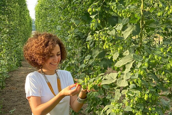 Agricultural Brewery Tour in the Roman Countryside - Who Should Consider This Experience?