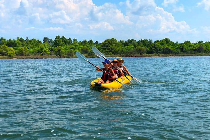 Albania Birdwatching, Kayaking, Bicycle National Park Divjaka Karavasta(ARG) - Diving Into the Details: A Step-by-Step Breakdown