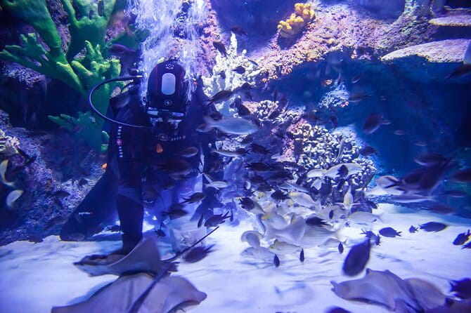 Alexander Waterfall and Antalya Aquarium Day Tour from Side - Who Is This Tour Best For?