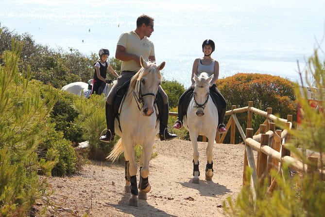 Algarve - Exclusive horseriding in Portimao (no experience required) - The Sum Up