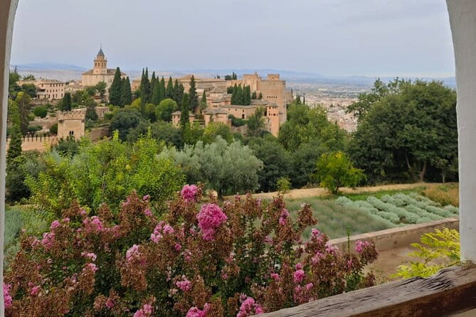 Alhambra Private Tour with Tickets to the Nasrid Palaces - Practical Details and Considerations