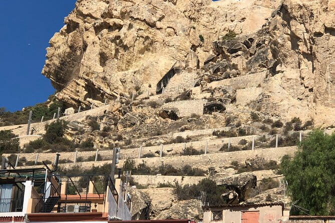 Alicante & Elche. Transport, guide and monuments. - Price and Value Analysis