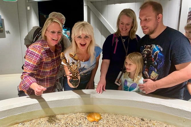 All Alesund Highlights in one tour - Who This Tour Suits Best