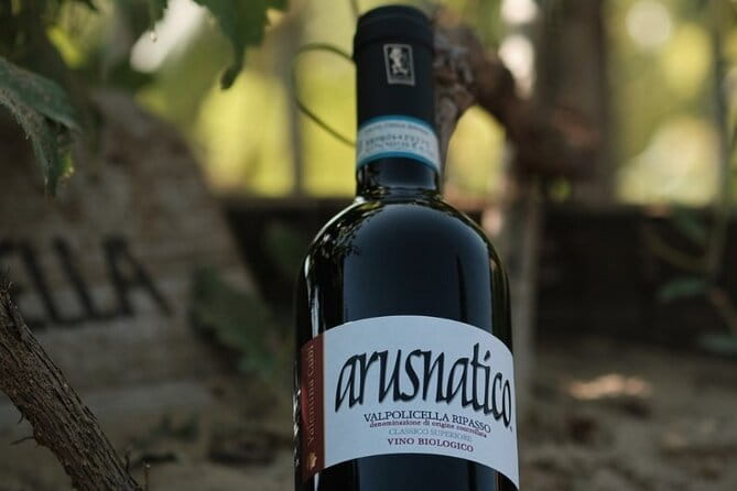 Amarone 2005 Wine Experience - Price and Value