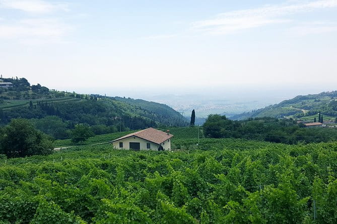 Amarone Wine Tour (all-inclusive full day with lunch and expert wine guide) - A Traditional Lunch in the Heart of Wine Country