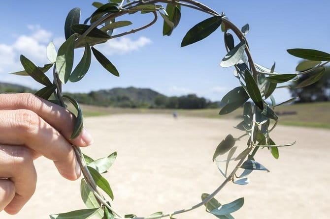 Ancient Olympia full day private tour from Athens - Possible Downsides or Considerations