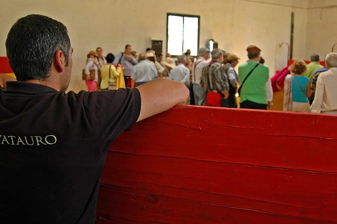 Andalucia Bull and Horse Farm and Ronda Private Tour from Malaga - What to Expect at Each Stop