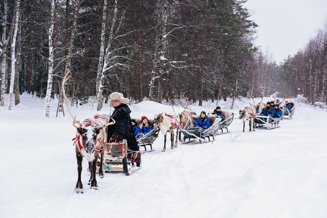 Apukka Reindeer Journey - Who Is This Tour Best Suited For?