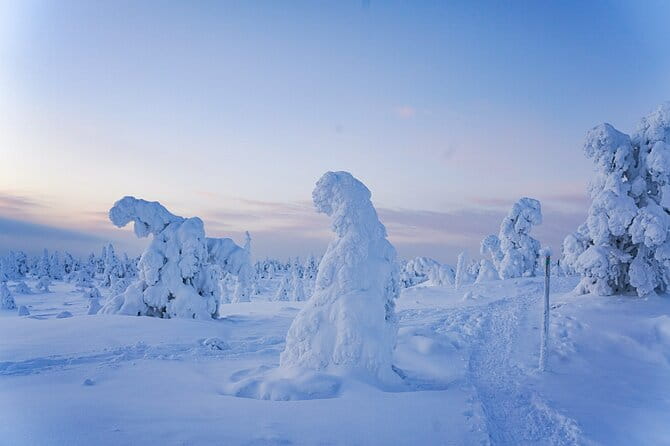 Arctic Adventure through Magical Frozen Forests of Riisitunturi - Who Should Consider This Tour?