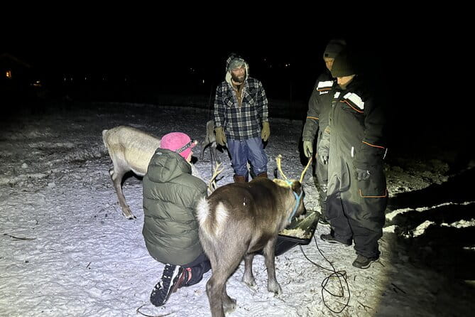 Arctic Adventure with Reindeer and Northern Lights Hunt 18:30 pm - The Sum Up