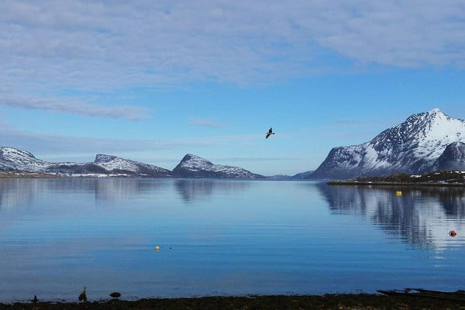 Arctic fjord and Landscape Tour - FAQ