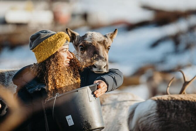 Arctic Fjords and Reindeer Experience  Small group tour - - Who Will Love This Experience?