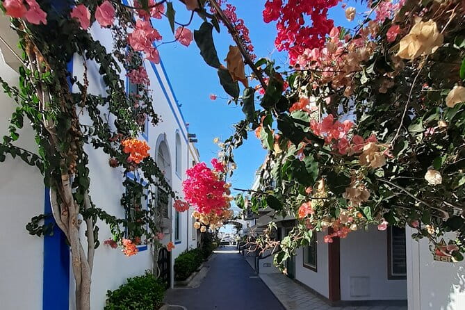 Arround Gran Canaria All Highlights Private Shore Excursion - Who Will Enjoy This Tour Most?