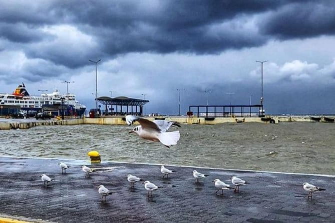 Athens-Rafina Port (Rafina Port-Athens) - Price and Logistics: Value for Your Money