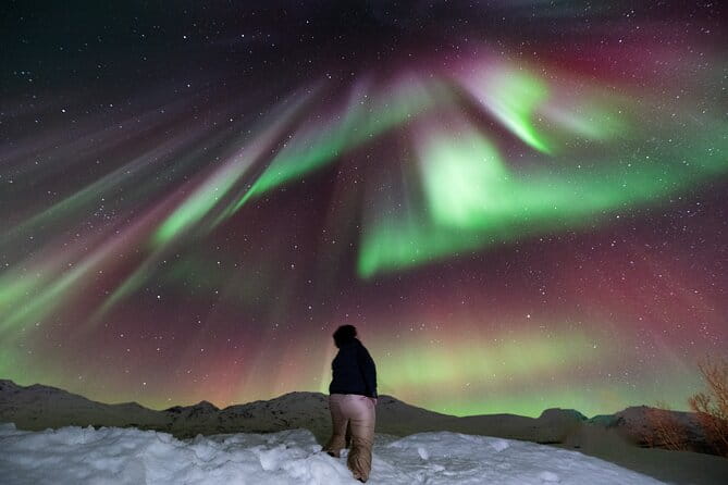 Aurora Hunt with Professional Photographer from Alta - In-Depth Look at the Aurora Hunt Experience