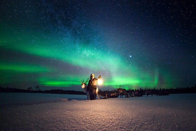 Aurora Hunting by Reindeer Sleigh - Key Points / Takeaways