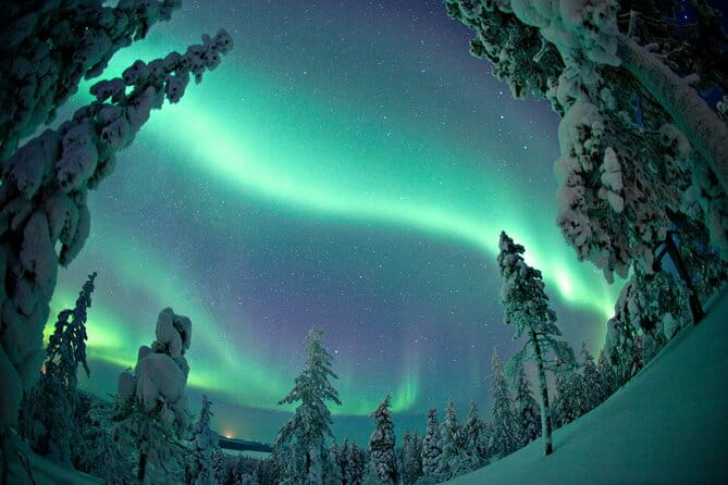 Aurora Photo Experience by Car from Saariselkä - Why This Tour Stands Out for Northern Lights Seekers