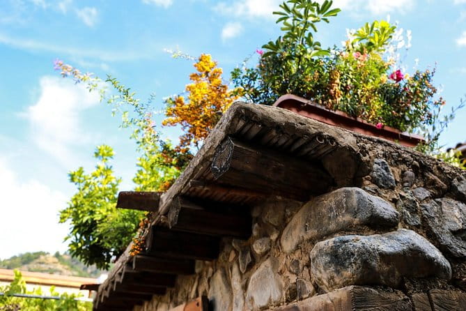 Authentic Gourmet Tour with Wine and Food Tasting from Paphos - The Sum Up