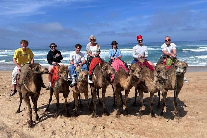 Authentic Private Tangier Tour from Cadiz Camel Ride & Lunch - Full Review: An Authentic Day Trip from Cadiz to Tangier